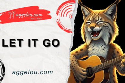 Let It Go, Let It Fly