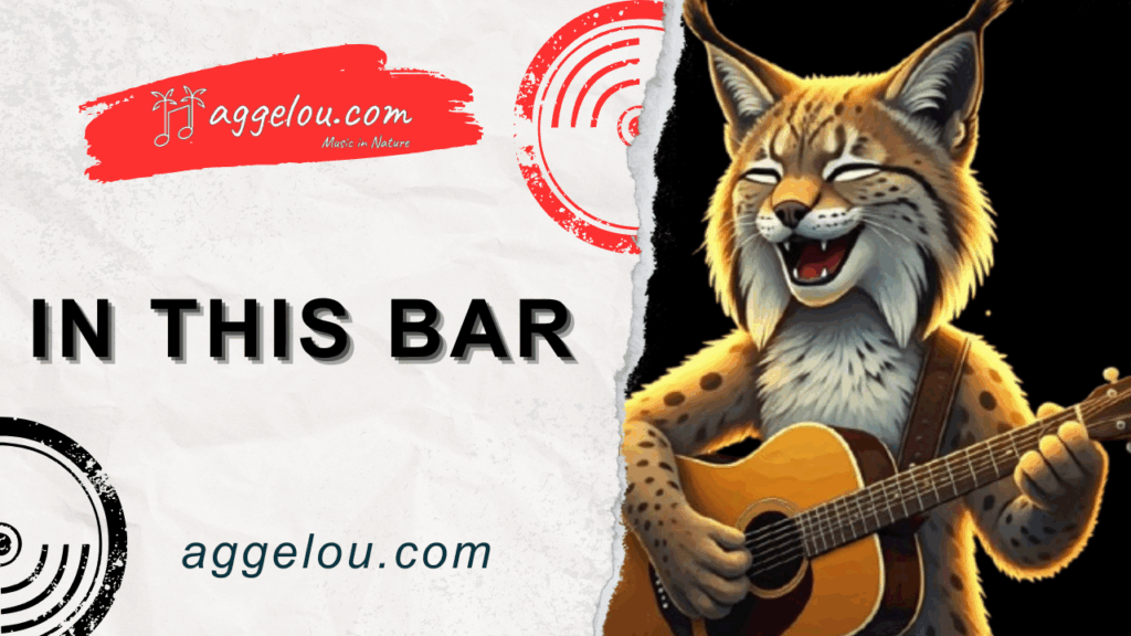 The Story Behind Song “In This Bar”