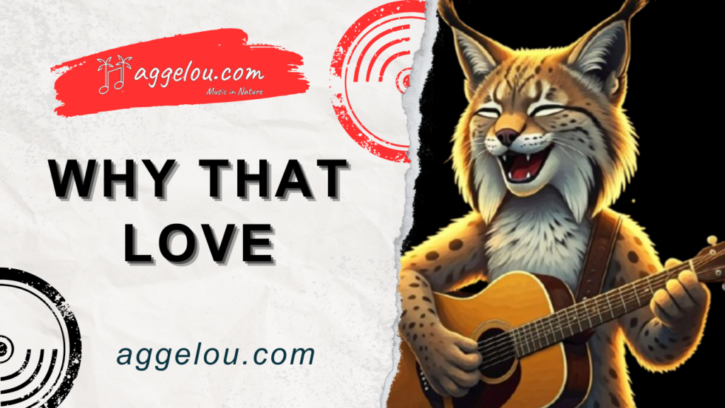 The Story Behind Song “Why That Love"