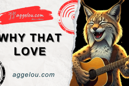 The Story Behind Song “Why That Love"